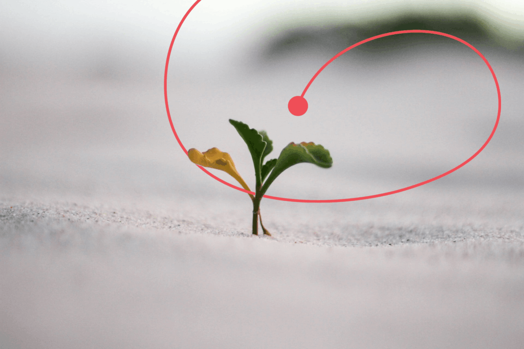 Transform your SAP experience: Rev-Trac Platinum’s latest innovations